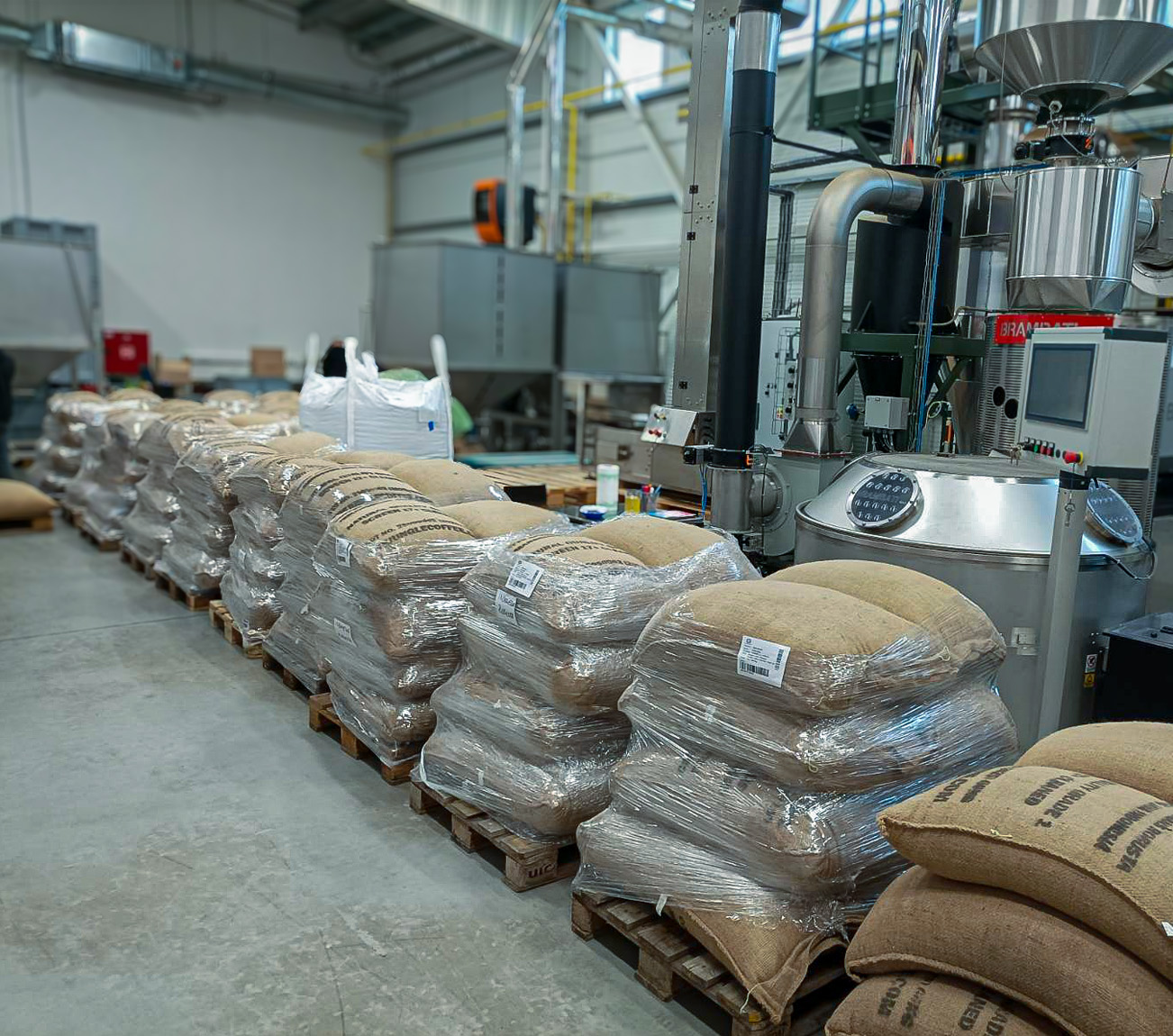 Robusta Green coffee beans for roasting and blends