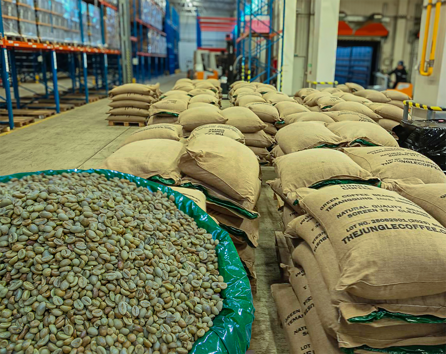 Stable Green coffee beans sourcing improves consistency, quality, and results
