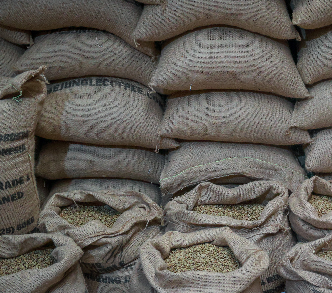 High quality greenbean coffee for consistent roasting The Jungle Coffee