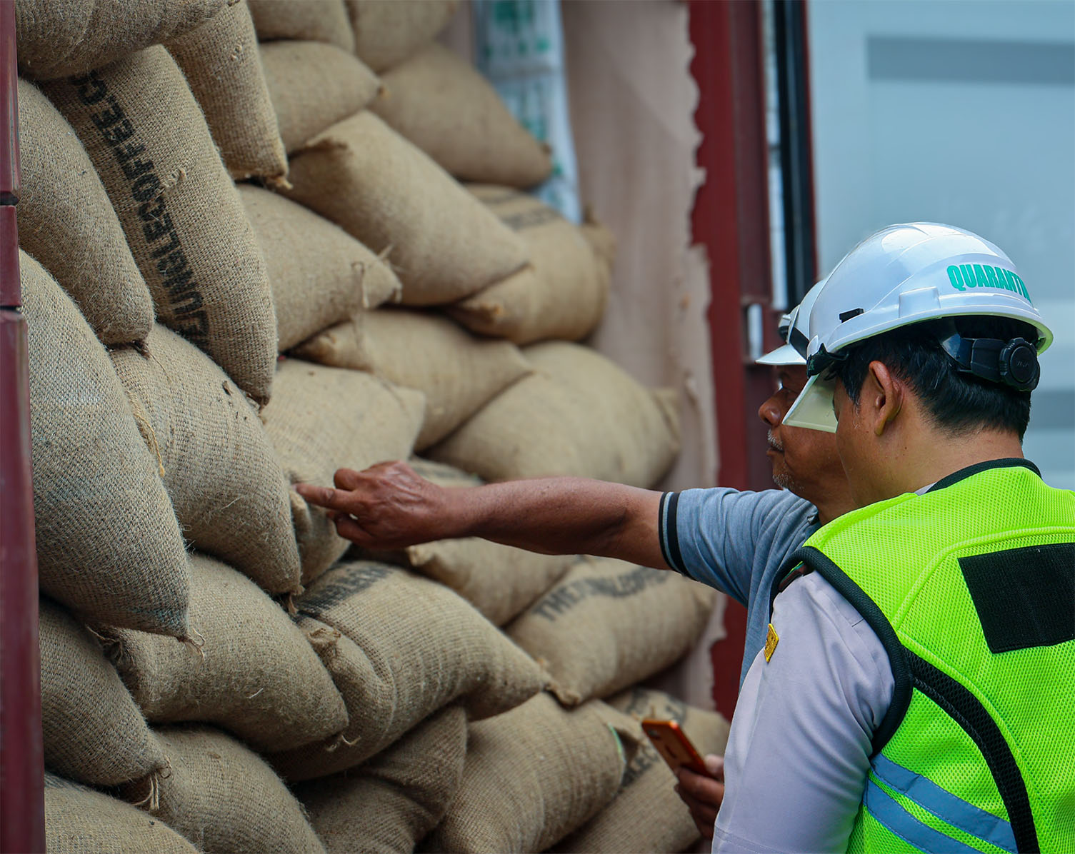 Coffee quality control inspection for export The Jungle Coffee