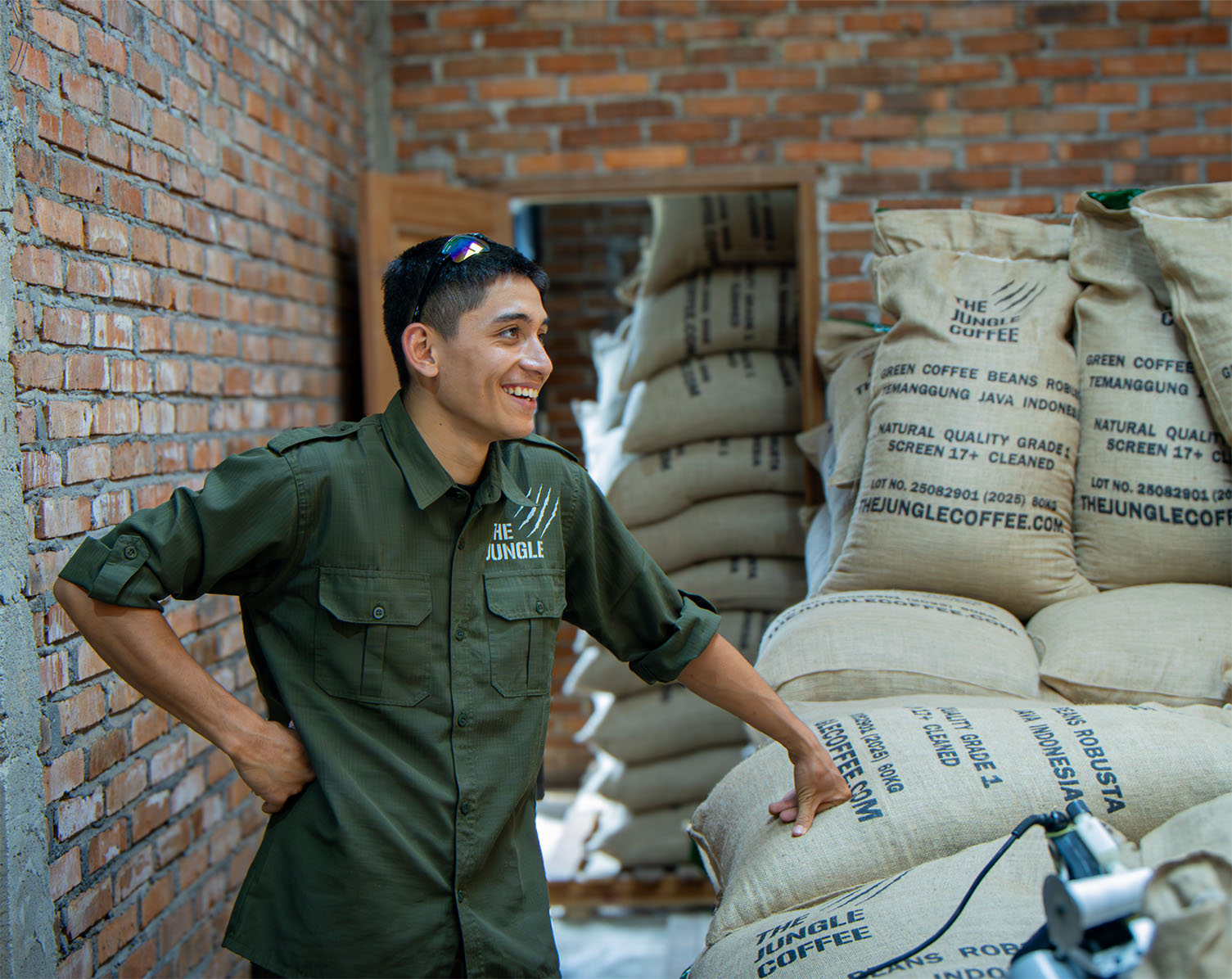 Unroasted Green coffee beans for roasting and sourcing